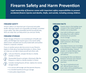 Firearm safety and harm prevention